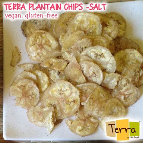 Terra-Plantain Chips Salted – Terra Earthfood