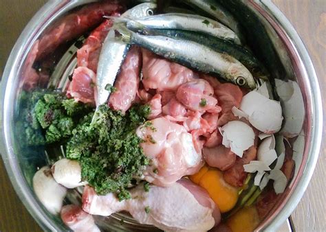 barf diet dogs,www.npssonipat.com