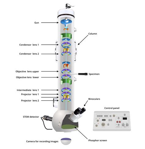 Index of /images/TEM-module