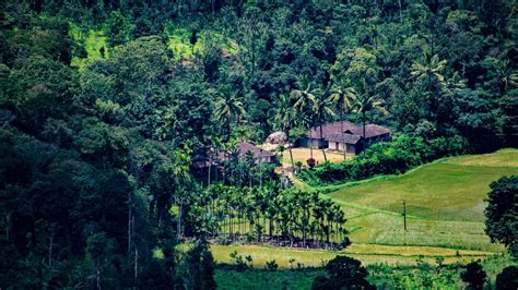 Coorg Food: Culinary Magic From Its Rivers, Forests And Vast Fields