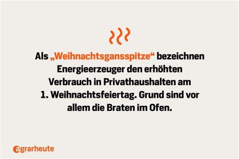 Hätten Sie's gewusst: 25 Fakten über Enten und Gänse | agrarheute.com