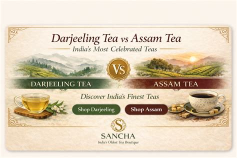 Darjeeling Tea vs Assam Tea | A Luxury Guide to India’s Finest Teas ...
