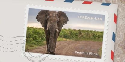 Remove unwanted objects from photos with content-aware fill | Adobe