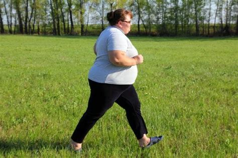 Scientists discover how obesity gene works