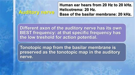 Peripheral Auditory System 的图像结果