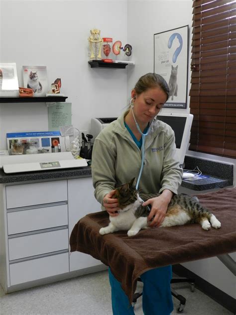 Stress Care Of Nj Staff - carsdiknas