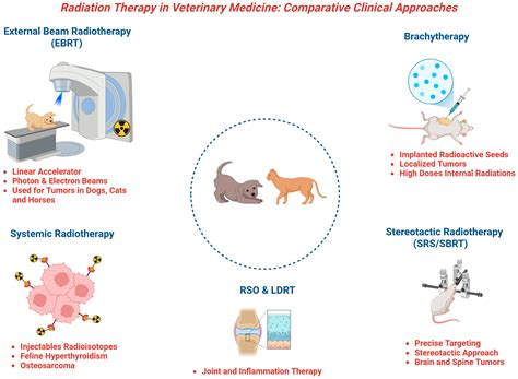 Radiation in Veterinary Practice: Paradigm Shift Toward Precision and ...