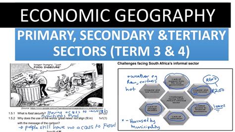 Sector 的图像结果