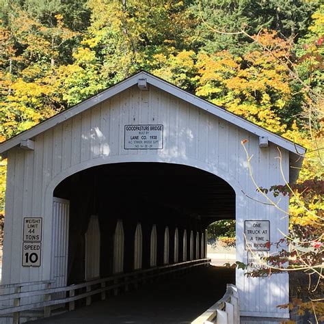 GOODPASTURE BRIDGE (2025) All You Need to Know BEFORE You Go (with ...