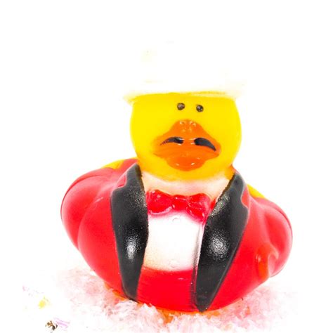 Circus Small Rubber Duck Gift Bundle | Ducks in the Window