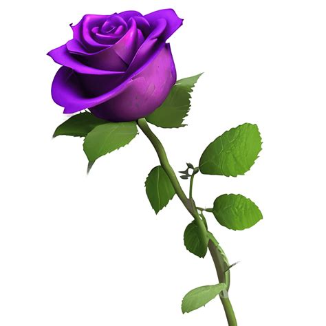 Large Open Purple Rose with Stem and Leaves Galaxy Filled · Creative ...