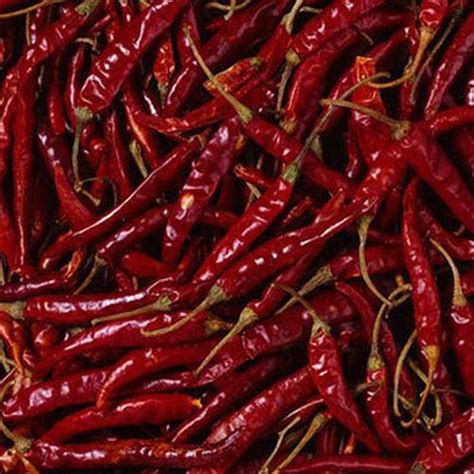 MR & SONS MJR Dry Guntur Mirchi Hot Dried Red Chilli - 1000 Grams/Sabut ...