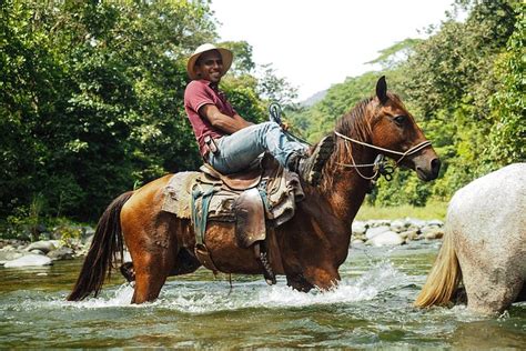 THE CAMP AT KALU YALA (Panama/Panama City) - Campground Reviews ...