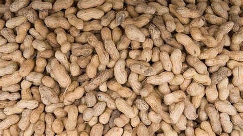 Image result for First Diesel Engine