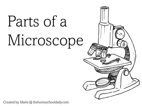 Microscope Part 的图像结果