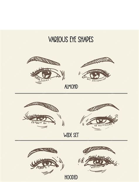 Eye Shape Chart Drawing