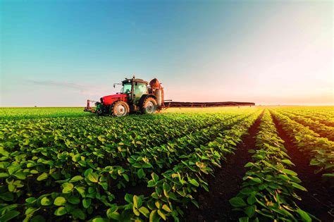 O Futuro do Agronegócio e a Preservação Ambiental