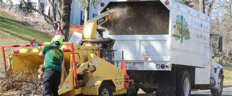 Northeastern Tree Service 的图像结果