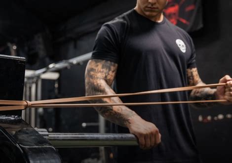 Image result for Good Back Workouts Using Bands