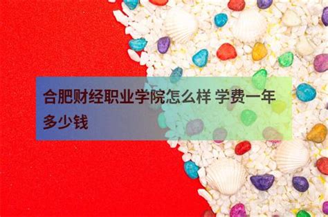 合肥财经职业学院怎么样 学费一年多少钱 - 职教网