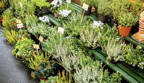 French Accent Marks: What They Are and How to Use Them - Rosetta Stone