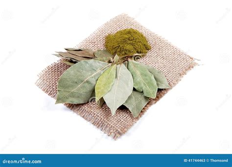 Dried and Ground Bay Leaves Stock Image - Image of dried, cumin: 41744463