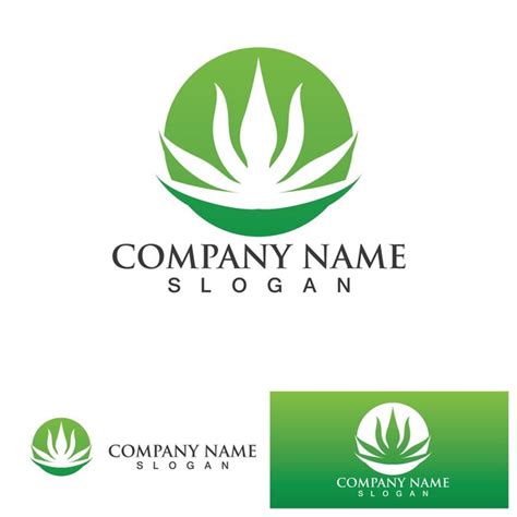 Aloe vera logo vector ilustration template | Premium Vector