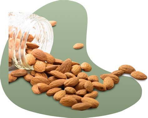 Gynam: Ayurvedic Solutions for Women's Health