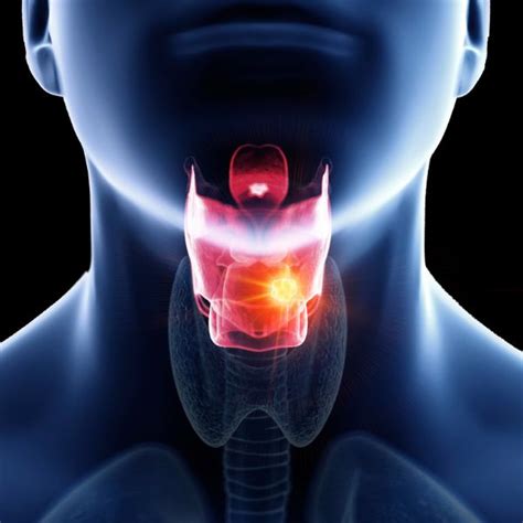 Neck Design Cutting 的图像结果