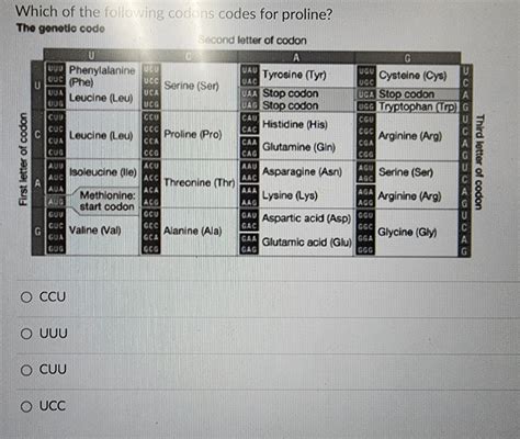 Image result for Proline Single Code