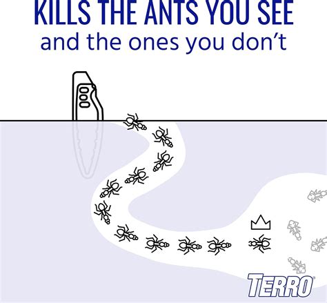 Best Ant Bait - TERRO Outdoor Traps, 8 Stakes Kills Ants Review