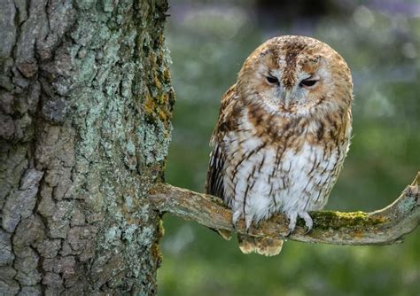 Image result for Writen a Program to Import Stack Using Array in C