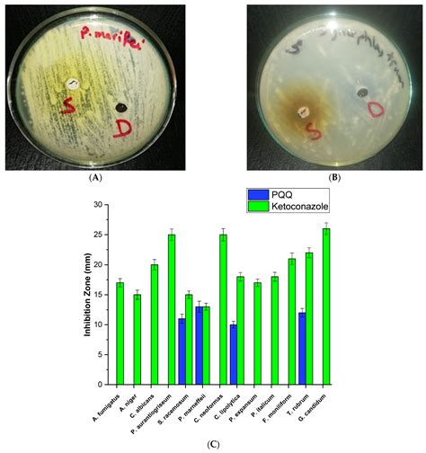 Novel Insights into the Antimicrobial and Antibiofilm Activity of ...