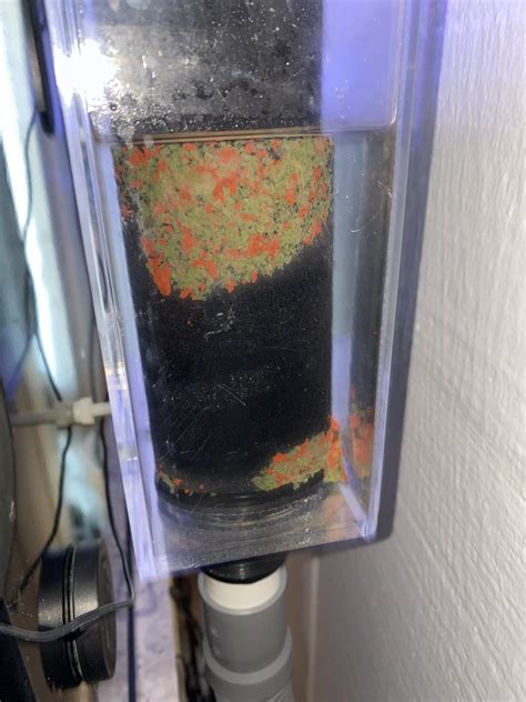 Image result for Reef Overflow Box