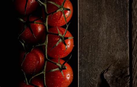 Wallpaper Board, black background, tomatoes, on the branch, tomatoes ...