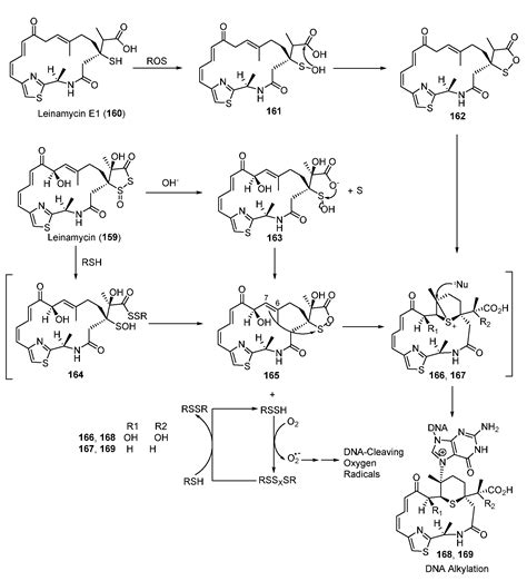 Biosynthesis of DNA-Alkylating Antitumor Natural Products