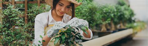 15 Benefits of Passion Projects for College Applicants - Crimson Global ...