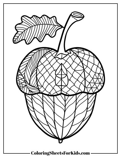 Acorn Coloring Pages (Free Print) - Coloring Sheets For Kids