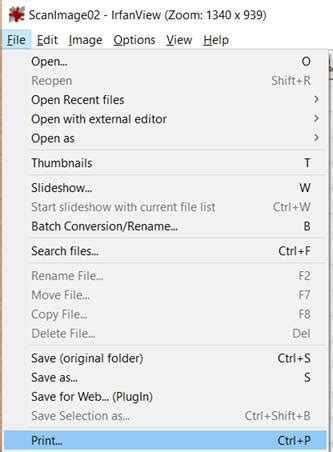 Image result for IrfanView First Marriage