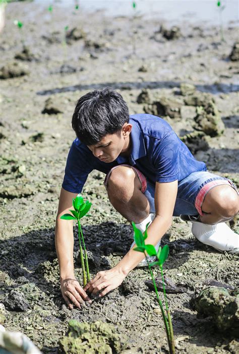 Jollibee Group Beefs Up its Mangrove Reforestation Project with Employee Volunteers ...