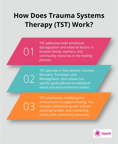 Trauma Systems Therapy: A Holistic Approach to Mental Health