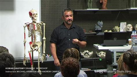 Image result for Proko Figure Drawing Course Free Download