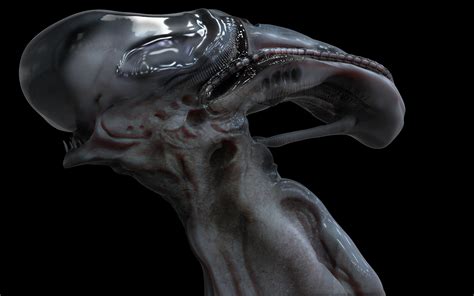 BioMess 的图像结果