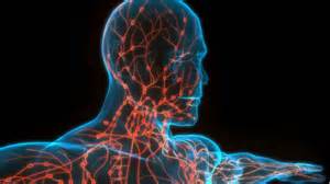 What Happens When Cancer Spreads to Lymph Nodes?