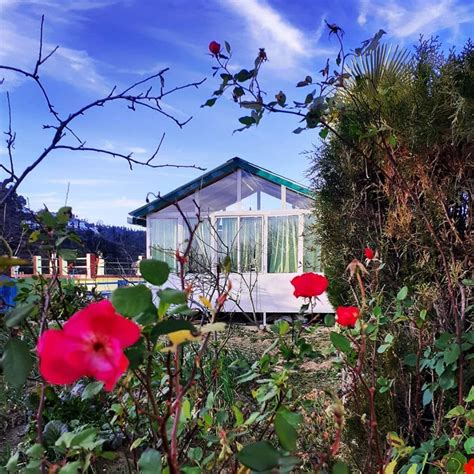 Take A Trip To The Chirping Orchard, Mukteshwar | LBB, Delhi