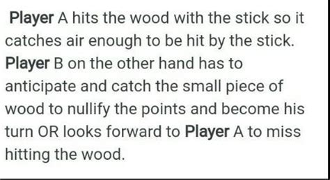 what two(2) interesting things have you discovered about Shatong(game ...