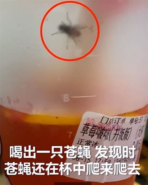 女子在蜜雪冰城茶饮喝出大蟑螂，店家：会给一个交代_北京日报网