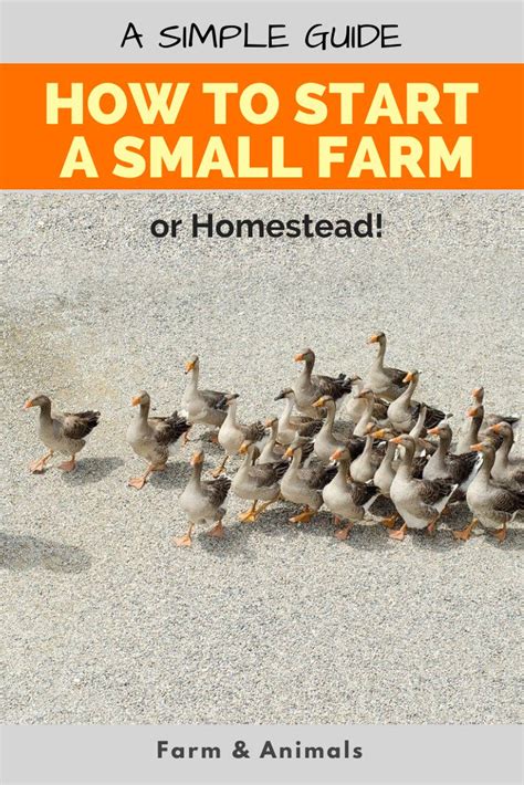 Farm Simple Tutorials 的图像结果