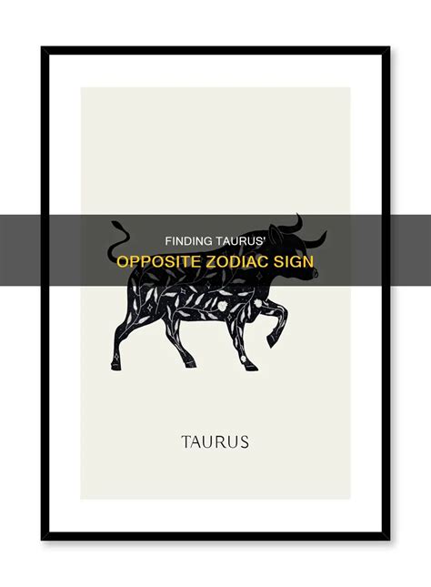 Finding Taurus' Opposite Zodiac Sign | ShunSpirit