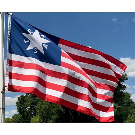 Crockett Alamo Flag - Texas Davy Crockett's Flags for Sale